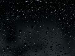 4월 월간대사연성