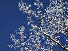 마호범 16세 남자(XY)