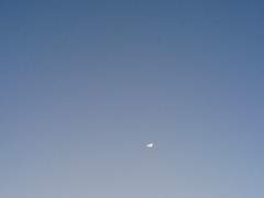 [Commission] 당신의 구원을 불러보며