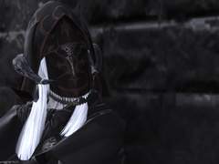 [ff14] 셀케트(Selket) 설정