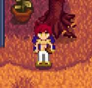 스타듀밸리 세트 리텍