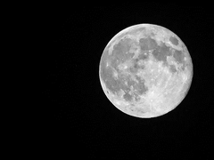 달이 따스한 밤, 그대에게.