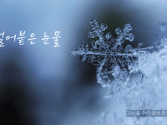 얼어붙은 눈물