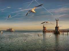 [마들에슾] 무한회귀