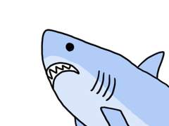 84. 메갈로돈의 사이즈