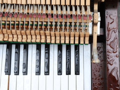 피아노 2중주 5악장