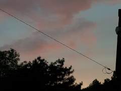 생존일지-「 」