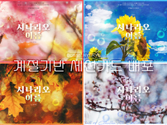 계절컨셉 세션카드 배포