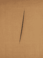 [슈짐] 므두셀라 신드롬