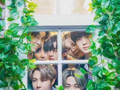 데일리 파라다이스, D-1