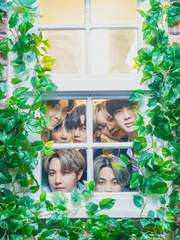 데일리 파라다이스