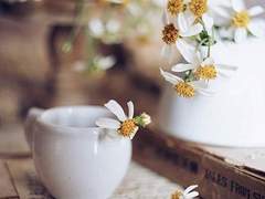 *2021 05 11 화요일*