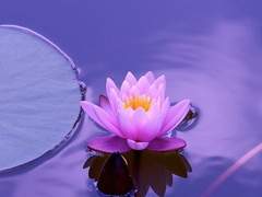 메리 / 23 / XX / 인간