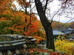 [비담덕만] 공유결합(共有結合) 上