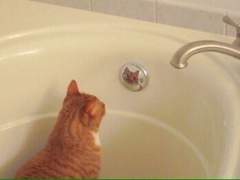 코딩 공부 1일차