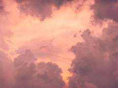 [고죠유지] 임신튀인줄 알았던~ 2