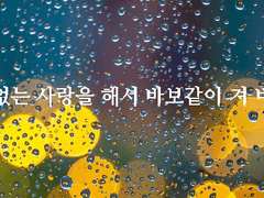 형편없는 사랑 - 나인