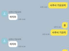 사쿠사 카톡 드림