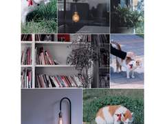 사진 포트폴리오