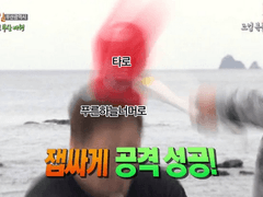 페르무토 관계성 타로