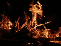 태양은 오로지 절대적인 존재니까.