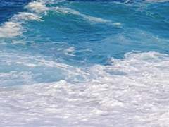 빛바랜 달빛의 끝자락에서