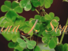 나래커 4학년 프로필