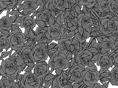 관객이 없는 무대는