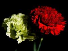 어린이날 기념 :: 5월의 <김독자 컴퍼니>