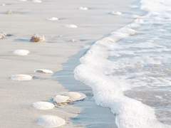 2021 05 12 수요일