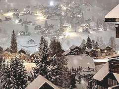 사라지지 않는 것(2)