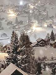 사라지지 않는 것