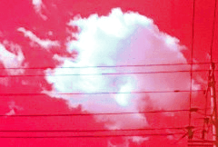 도술로 길을 밝히는 존재