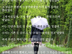 비가 내린 인연 - 나인