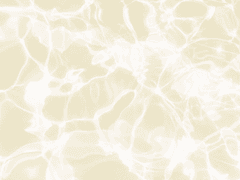 [희신광요] 내가 사랑한 것들