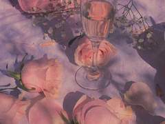 [원신/소행자] 윤회