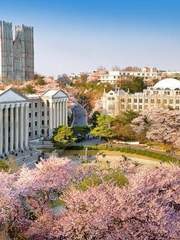 경영학과 우즈이