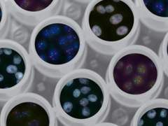 [케니스] After All of this Experiment