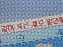 나는 하늘을 바라보지 않은지 오래되었어.