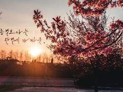 종결보다는 완결에 가까운,