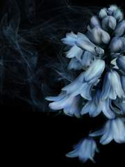 담배 피우는 남자는 섹시하다.