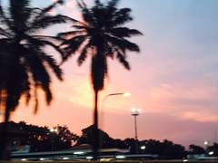 1장)내가 한국을 떠난 이유