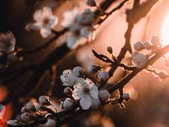 있잖아,늘 말하고 싶었어.