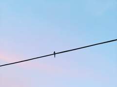 지우개 도장 커미션