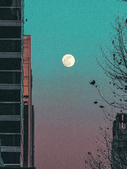 나는 옳고, 너는 그르다.