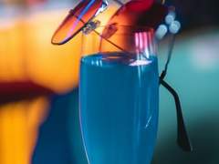 개에게 뼈다귀를 맡기지 마세요