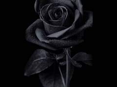 [언논소연] 탈출