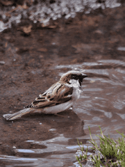 [BL] 리커버리 타임