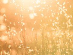 [빈에이] 어쩌다 나온 썰 백업