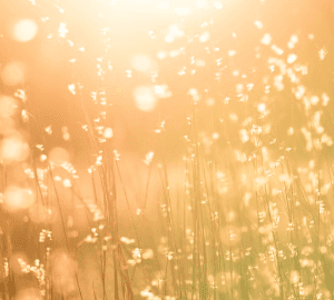 [빈에이] 어쩌다 나온 썰 백업